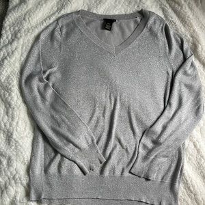 Lane Bryant Silver V-Neck Sweater Size 18/20